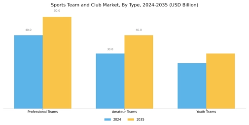 Sports Team Club Market Segment Image 0