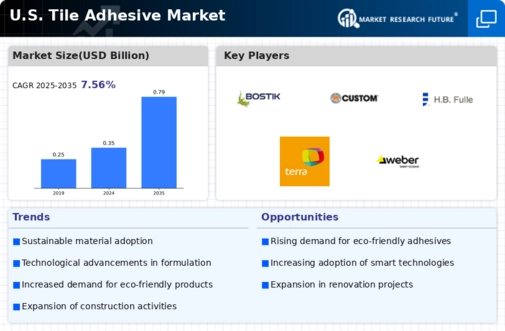 U.S. Tile Adhesive Market Infographic