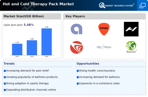 Hot Cold Therapy Pack Market Infographic