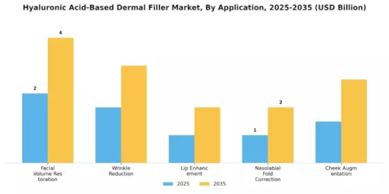 Hyaluronic Acid Based Dermal Filler Market Segment Image 0