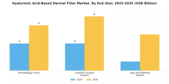 Hyaluronic Acid Based Dermal Filler Market Segment Image 2