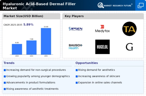 Hyaluronic Acid Based Dermal Filler Market Infographic