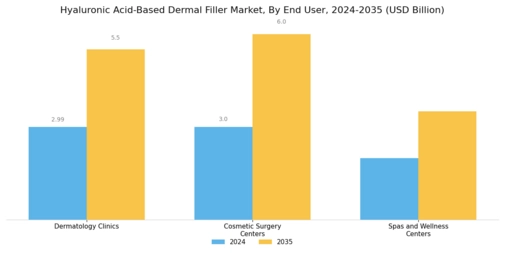 Hyaluronic Acid Based Dermal Filler Market Segment Image 1