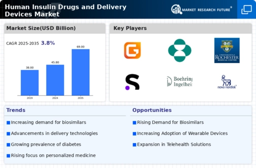 Human Insulin Drugs And Delivery Device Market Infographic