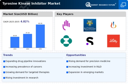 Tyrosine Kinase Inhibitor Market Infographic