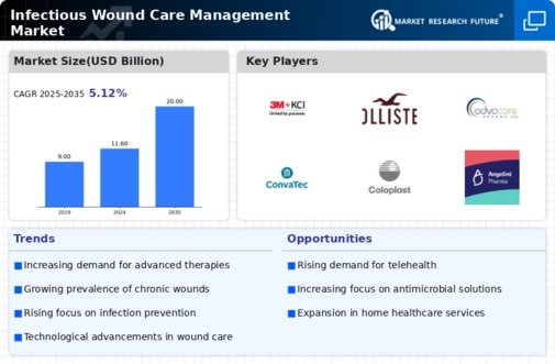Infectious Wound Care Management Market Infographic
