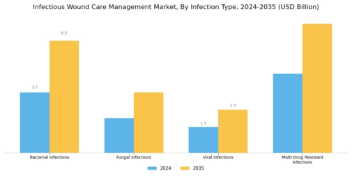 Infectious Wound Care Management Market Segment Image 2