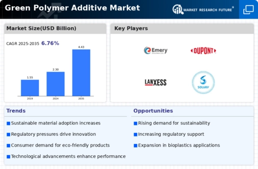 Green Polymer Additive Market Infographic
