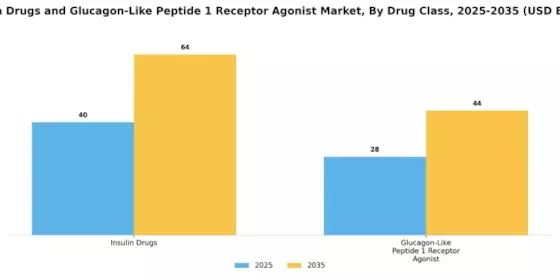 Insulin Drugs GLP 1 Receptor Agaonist Market Segment Image 2