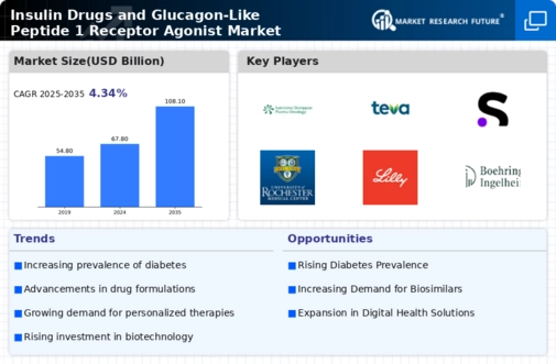 Insulin Drugs GLP 1 Receptor Agaonist Market Infographic