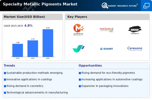 Specialty Metallic Pigments Market Infographic
