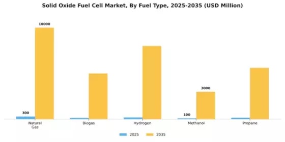 Solid Oxide Fuel Cell Market Segment Image 2