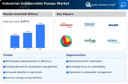 Industrial Submersible Pumps Market Infographic