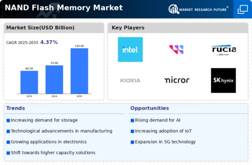 Nand Flash Memory Market Infographic