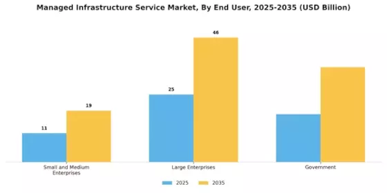 Managed Infrastructure Service Market Segment Image 1