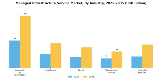 Managed Infrastructure Service Market Segment Image 2