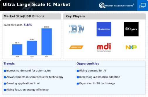 Ultra Large Scale IC Market Infographic