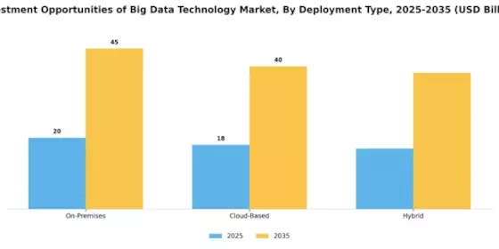 Investment Opportunities Of Big Data Technology Market Segment Image 1
