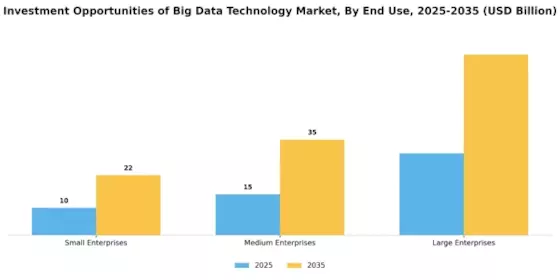 Investment Opportunities Of Big Data Technology Market Segment Image 2