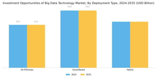 Investment Opportunities Of Big Data Technology Market Segment Image 1