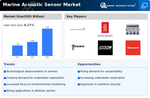 Marine Acoustic Sensor Market Infographic