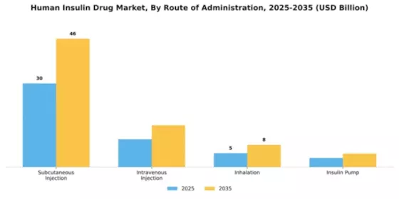 Human Insulin Drug Market Segment Image 4