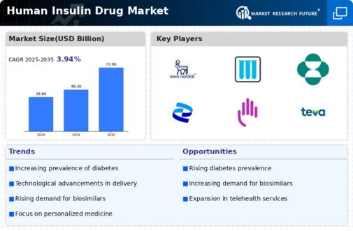 Human Insulin Drug Market Infographic