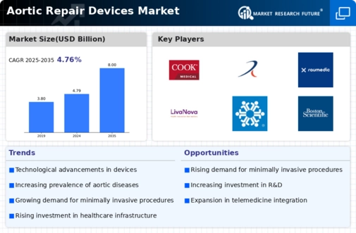 Aortic Repair Devices Market Infographic