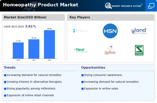 Homeopathy Product Market Infographic