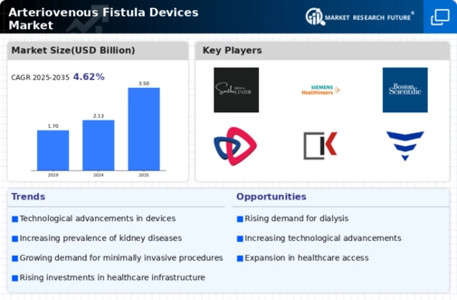 Arteriovenous Fistula Devices Market Infographic