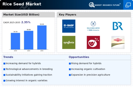 Rice Seed Market Infographic