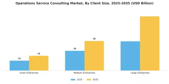 Operations Service Consulting Market Segment Image 0