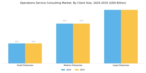 Operations Service Consulting Market Segment Image 3