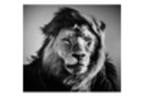 Outdoor Solar LED Market key player