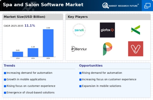 Spa Salon Software Market Infographic