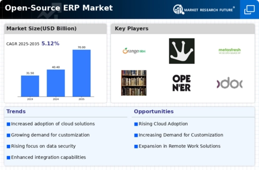 Open Source Erp Market Infographic