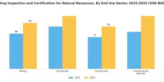 Testing Inspection Certification for Natural Resources Market Segment Image 1