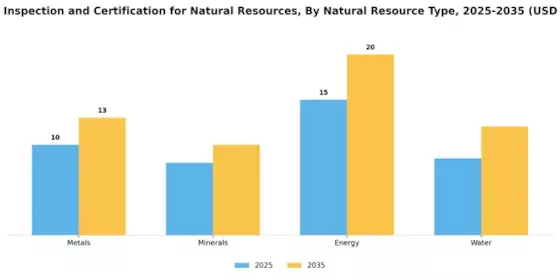 Testing Inspection Certification for Natural Resources Market Segment Image 2