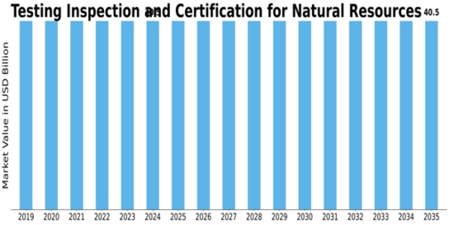 Testing Inspection Certification for Natural Resources Market Size