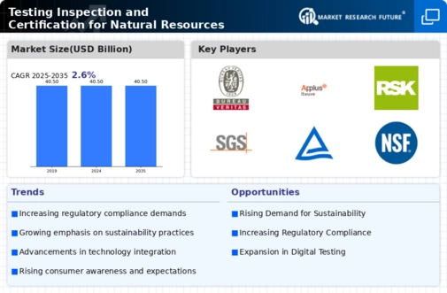 Testing Inspection Certification for Natural Resources Market Infographic