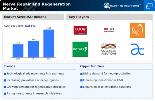 Nerve Repair Regeneration Market Infographic