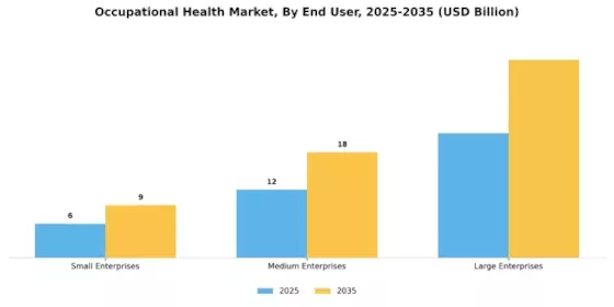 Occupational Health Market Segment Image 0