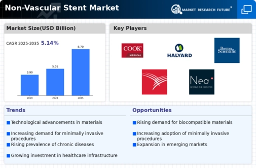 Non Vascular Stent Market Infographic