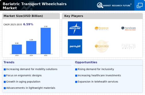 Bariatric Transport Wheelchairs Market Infographic