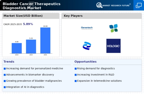 Bladder Cancer Therapeutics Diagnostics Market Infographic