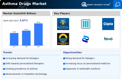 Asthma Drugs Market Infographic