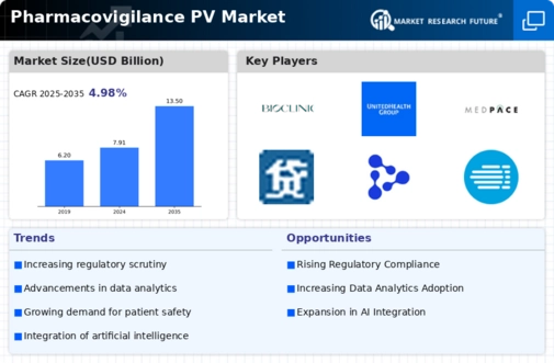 Pharmacovigilance PV Market Infographic