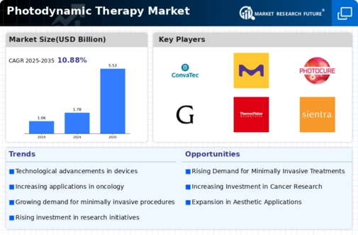 Photodynamic Therapy Market Infographic