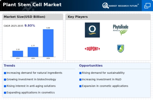 Plant Stem Cell Market Infographic