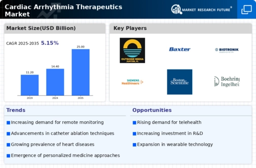 Cardiac Arrhythmia Therapeutic Market Infographic